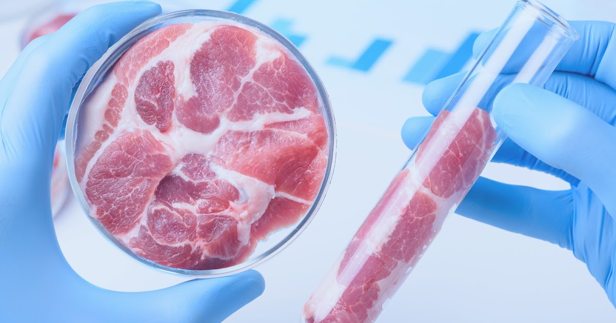 Scientia potentia est First Artificial Beef steak was produced in