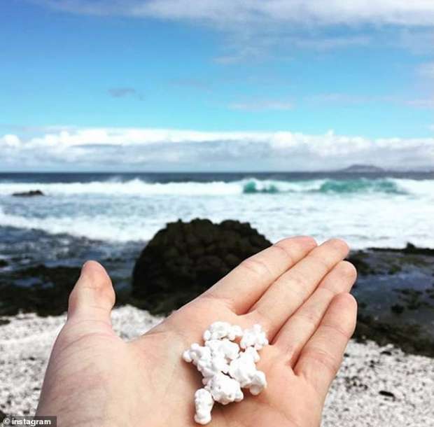 شاطئ الفشار شاطئ الفشار