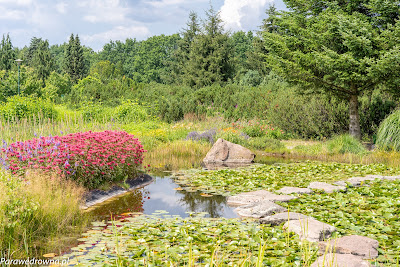 Powsin ogród botaniczny PAN krajobraz