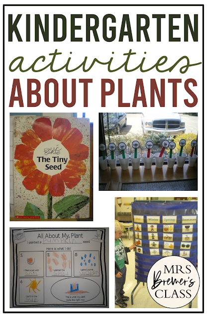 Plant Unit with activities to teach the life cycle of plants in Kindergarten and First Grade