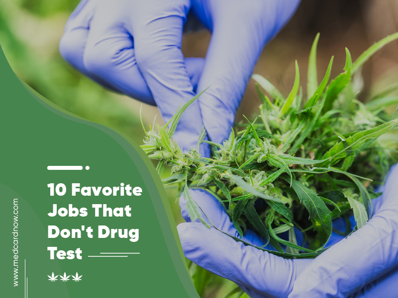 Med Card Now 10 Favorite Jobs that Don't Drug Test
