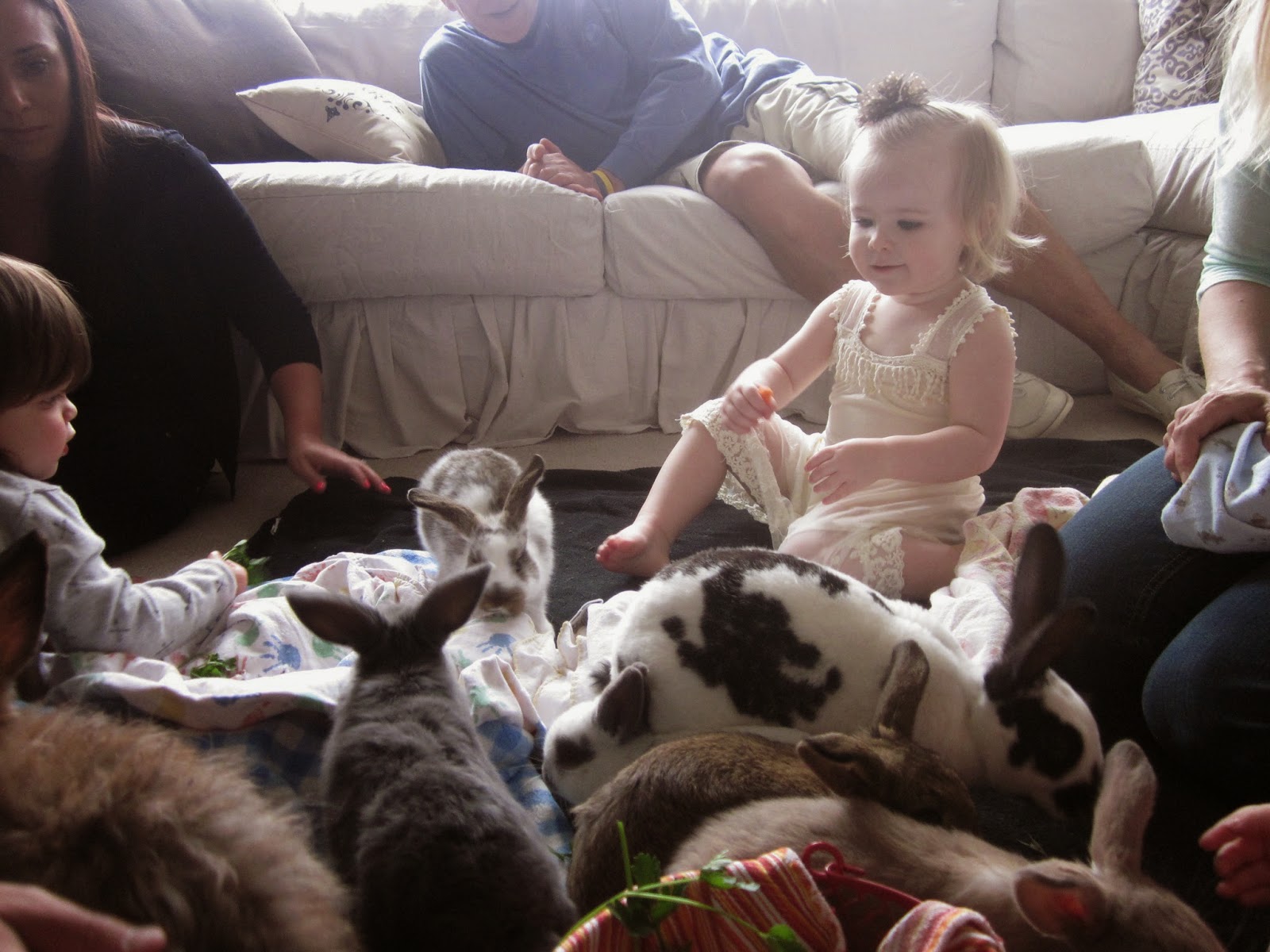 Queen B Creates: Peter Rabbit Birthday Party