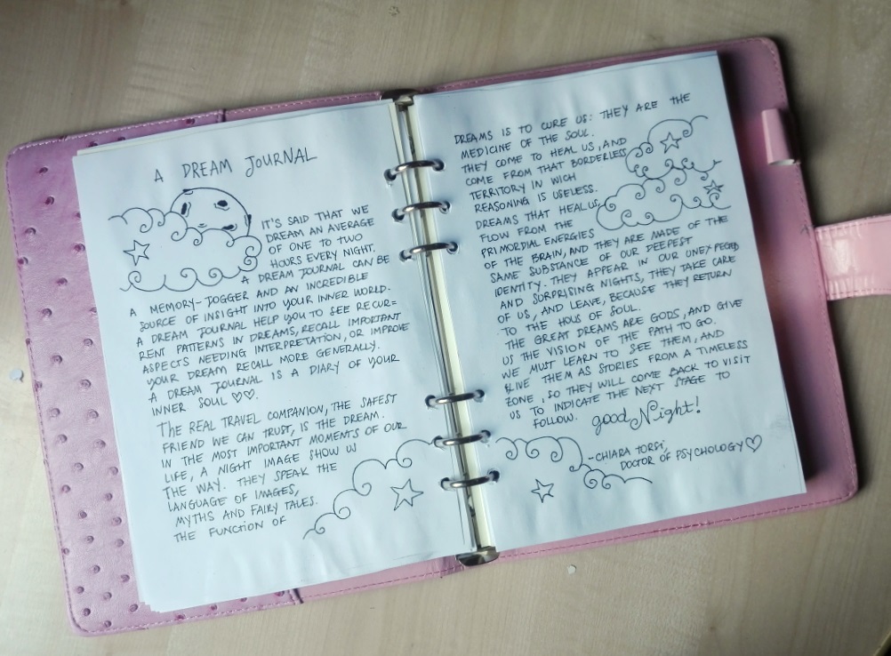 Chiara Torsi Cat Portrait Project How to Start a Dream Journal