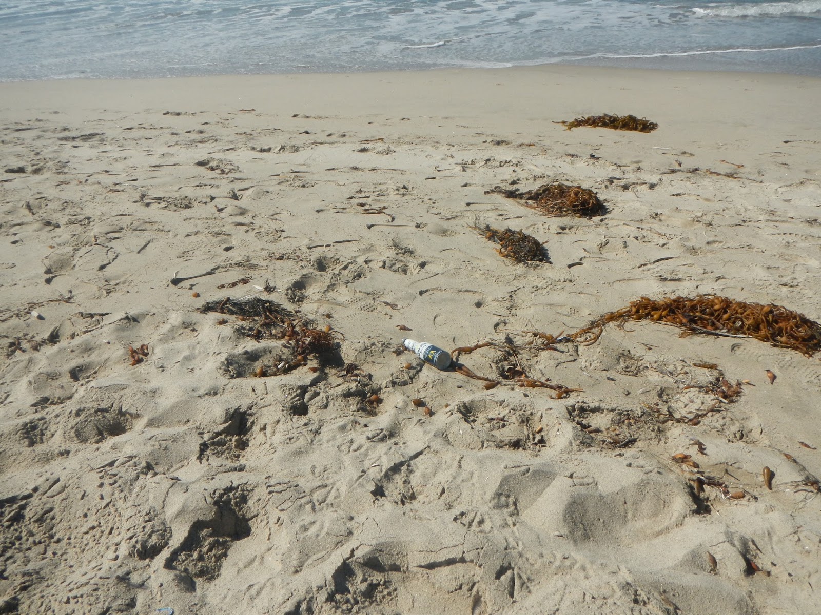 County Recurrent: Beach Trash Audit, Sept. 15, 2016