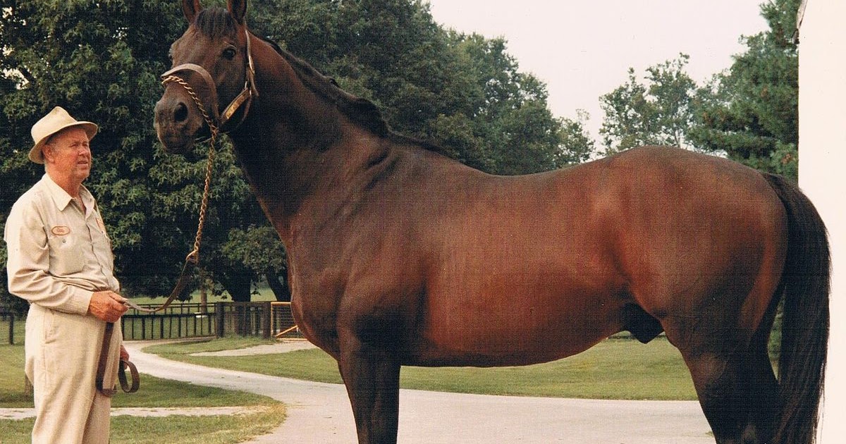 How to an Owner of Thoroughbred Race Horses? biographypedia