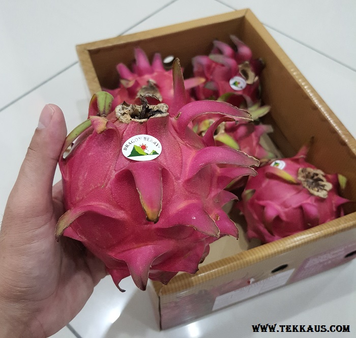 How What Does A Dragon Fruit Look Like