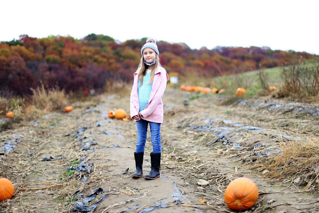 pumpkin patch pictures