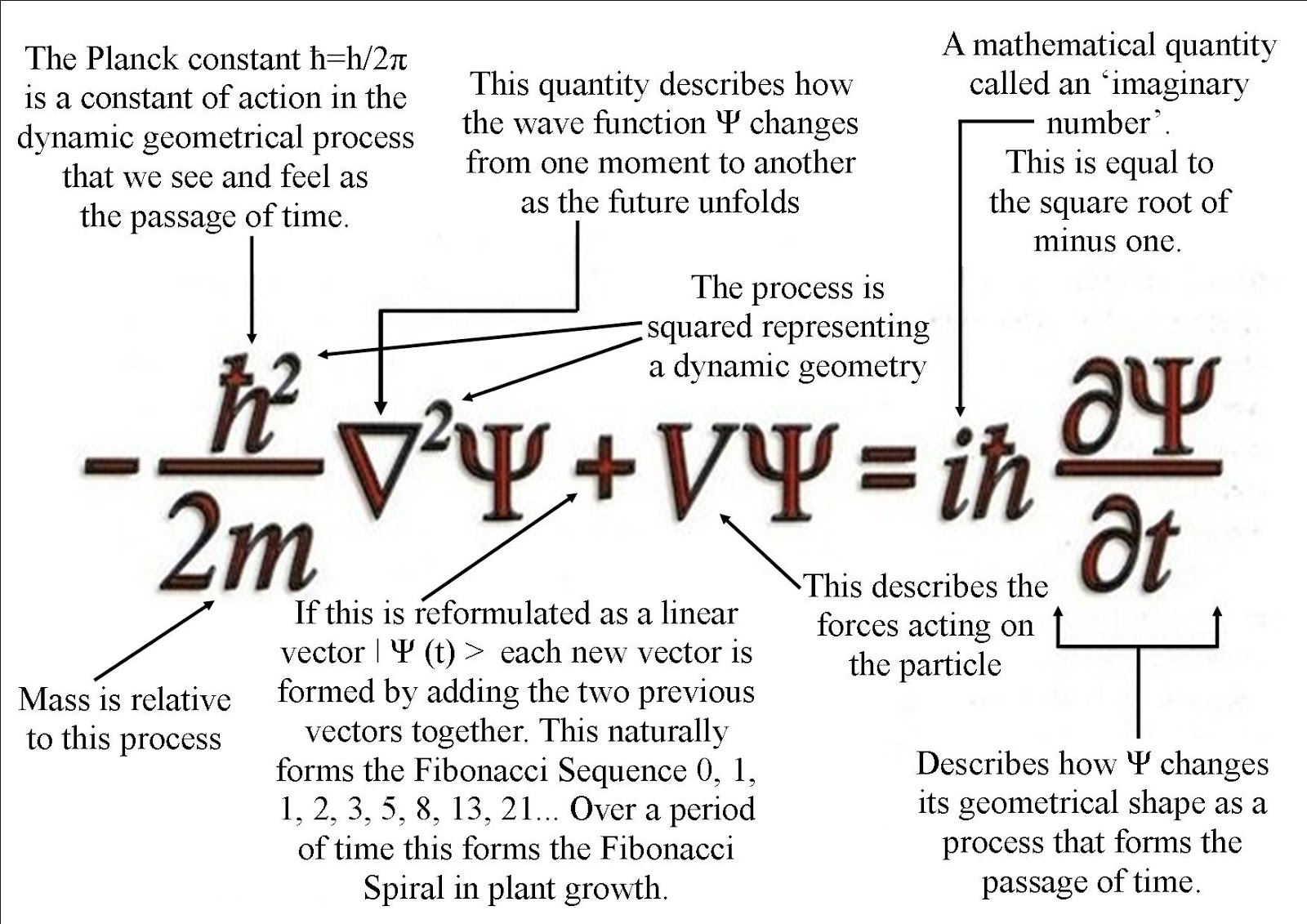 THE SCHRODINGER'S EQUATION