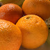 The Fruits of the Forbidden Tree – AG Opinion C-176/18 on the Boundaries of Plant Variety Rights