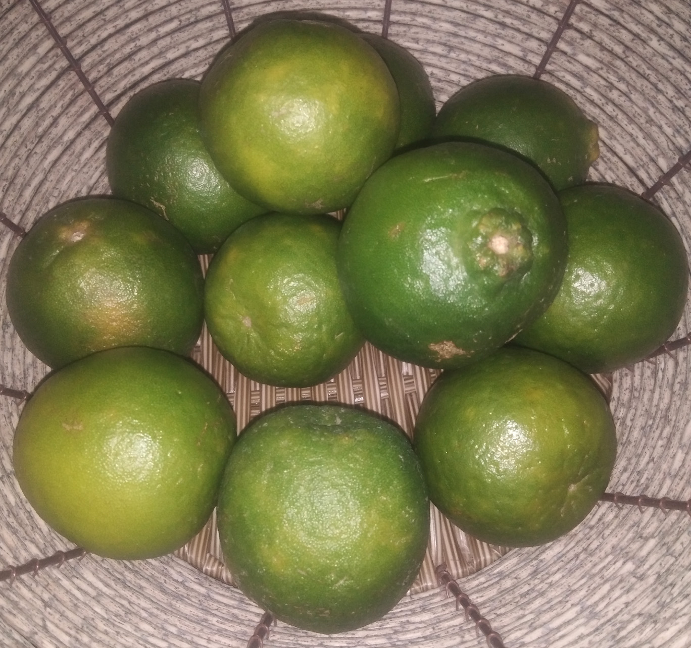 The sour orange, its benefits and uses Ink of Life