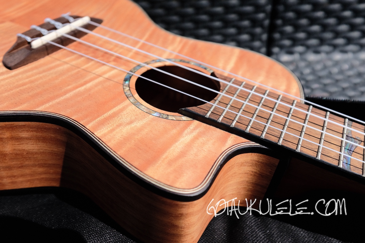 Luna High Tide Exotic Mahogany Concert Ukulele REVIEW