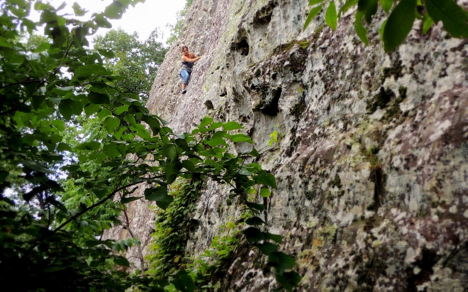 Horseshoe Canyon Ranch Climbing Summer