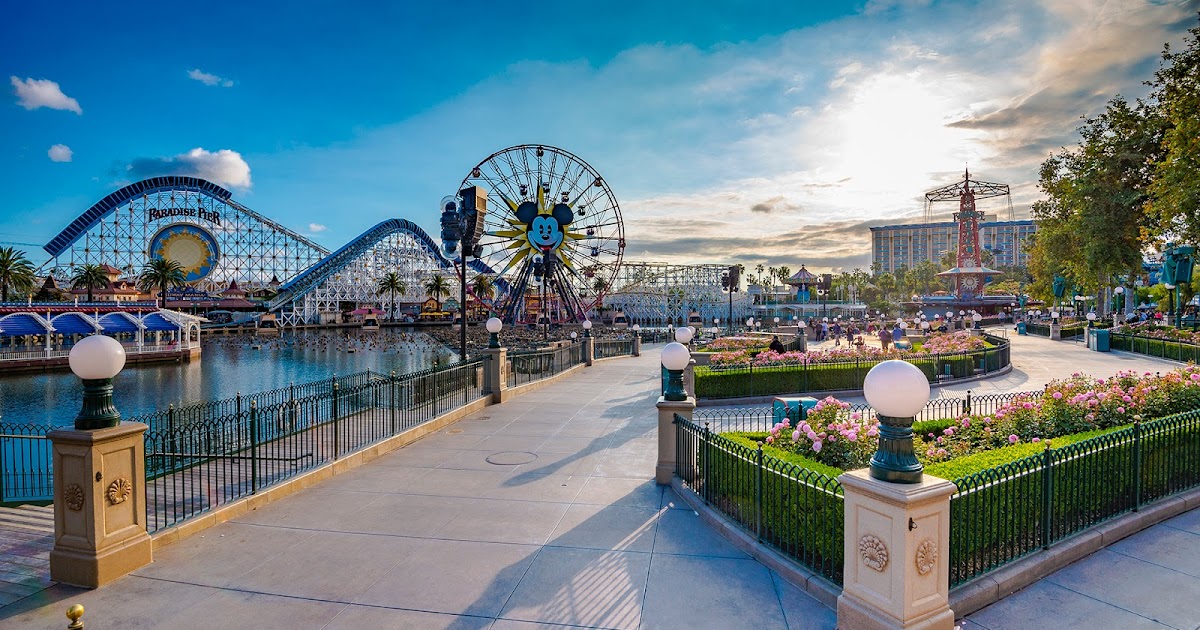 The Park in Paradise Park