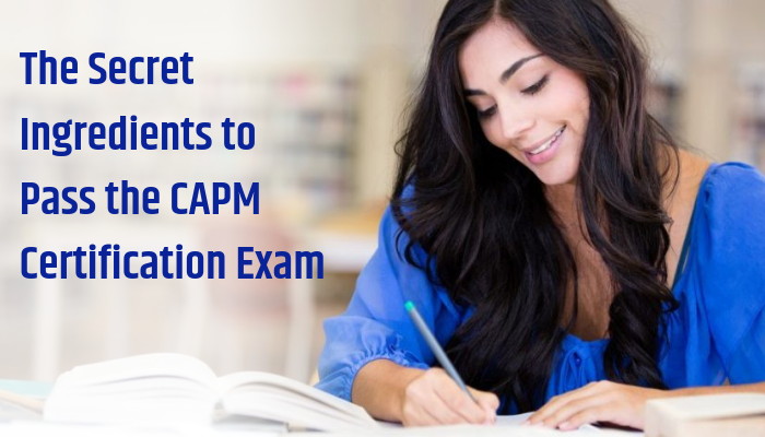CAPM Tests