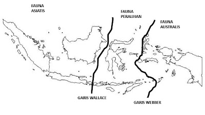  Fauna Asiatis Australis dan Peralihan Adhitya Nugraha 