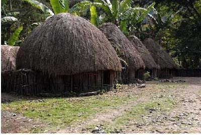 Download this Honai Adalah Rumah Khas Papua Yang Dihuni Oleh Suku Dani picture