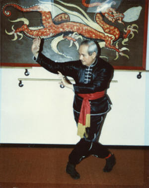 Karmatetra