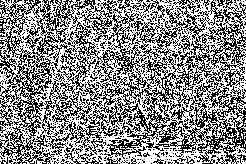 순천 조계산 선암사 순천 조계산 선암사