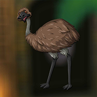 AvmGames Emu Bird Escape