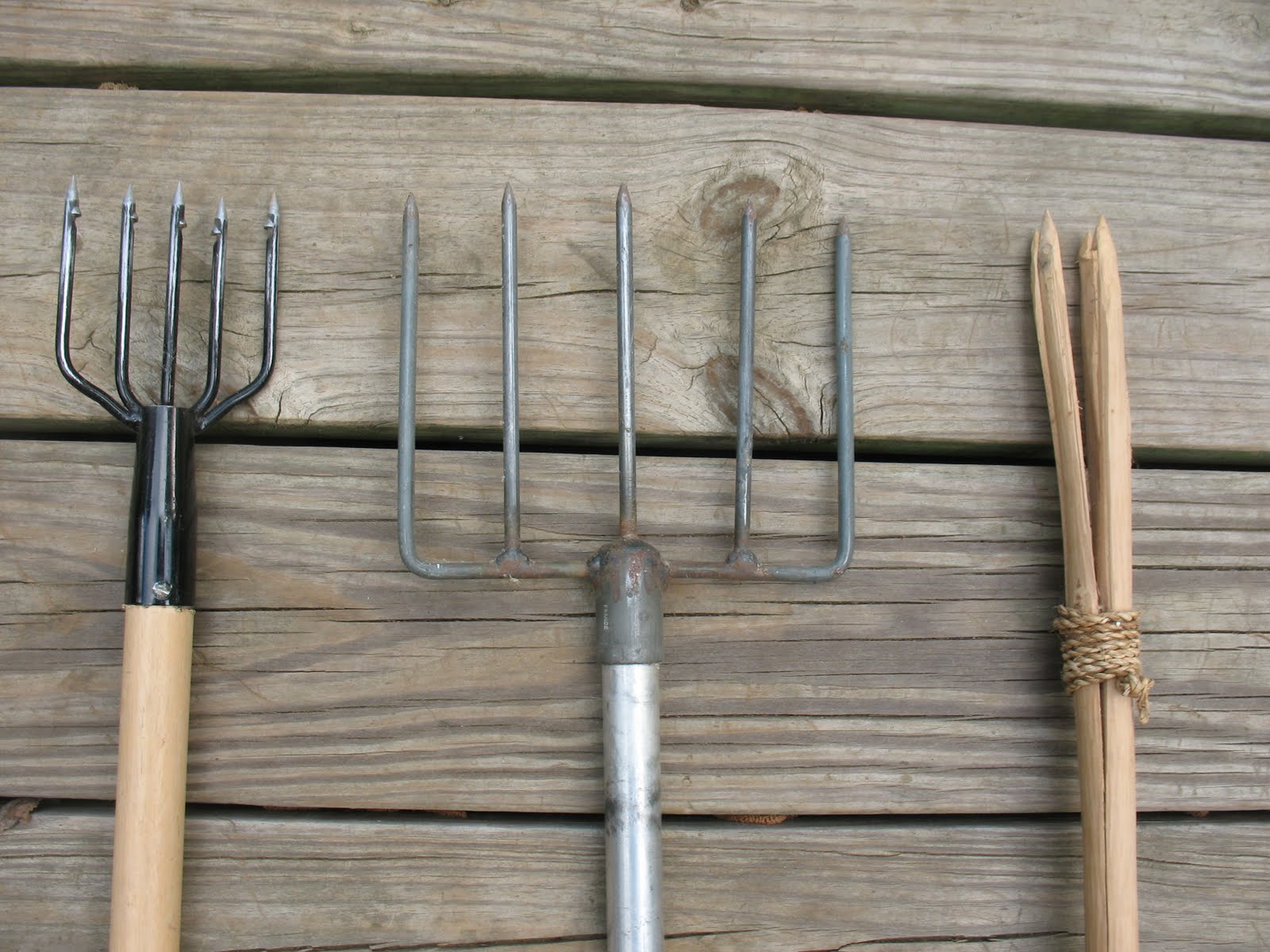 Sensible Survival Fishing with Spears