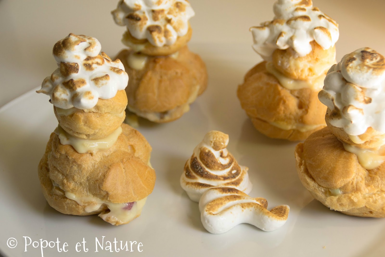 Popote Et Nature Des Petits Choux Facon Brioche Polonaise