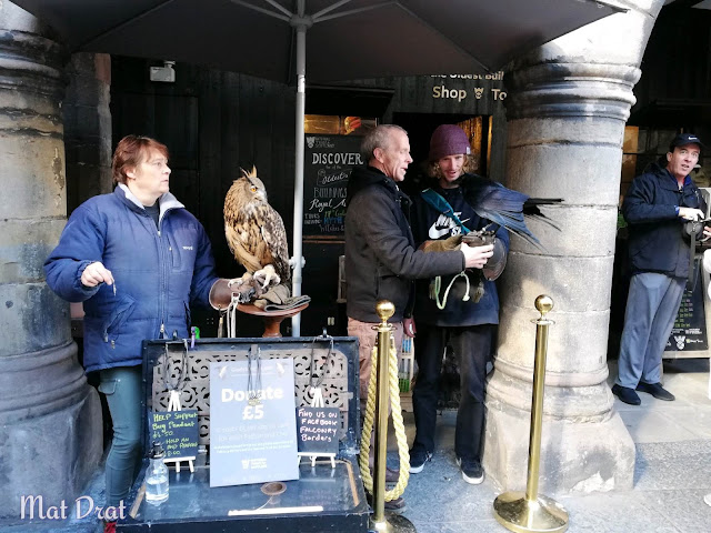 Edinburgh Castle Eagle Edinburgh Castle Eagle