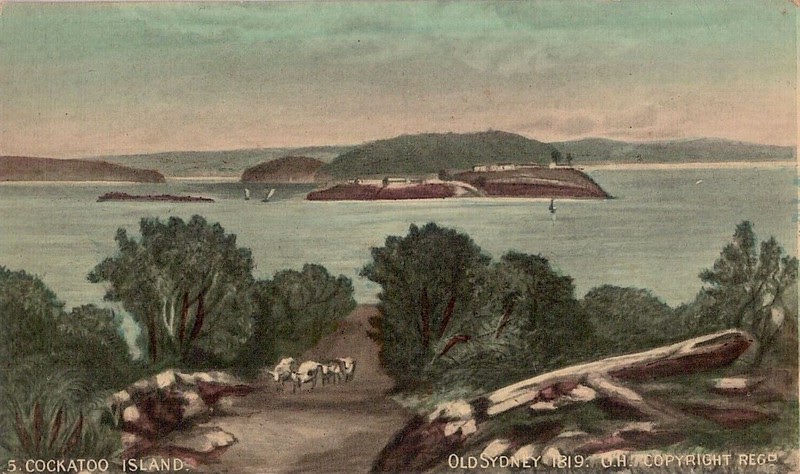 Random Stories in Australian History: The Lady Bushranger With Convict ...