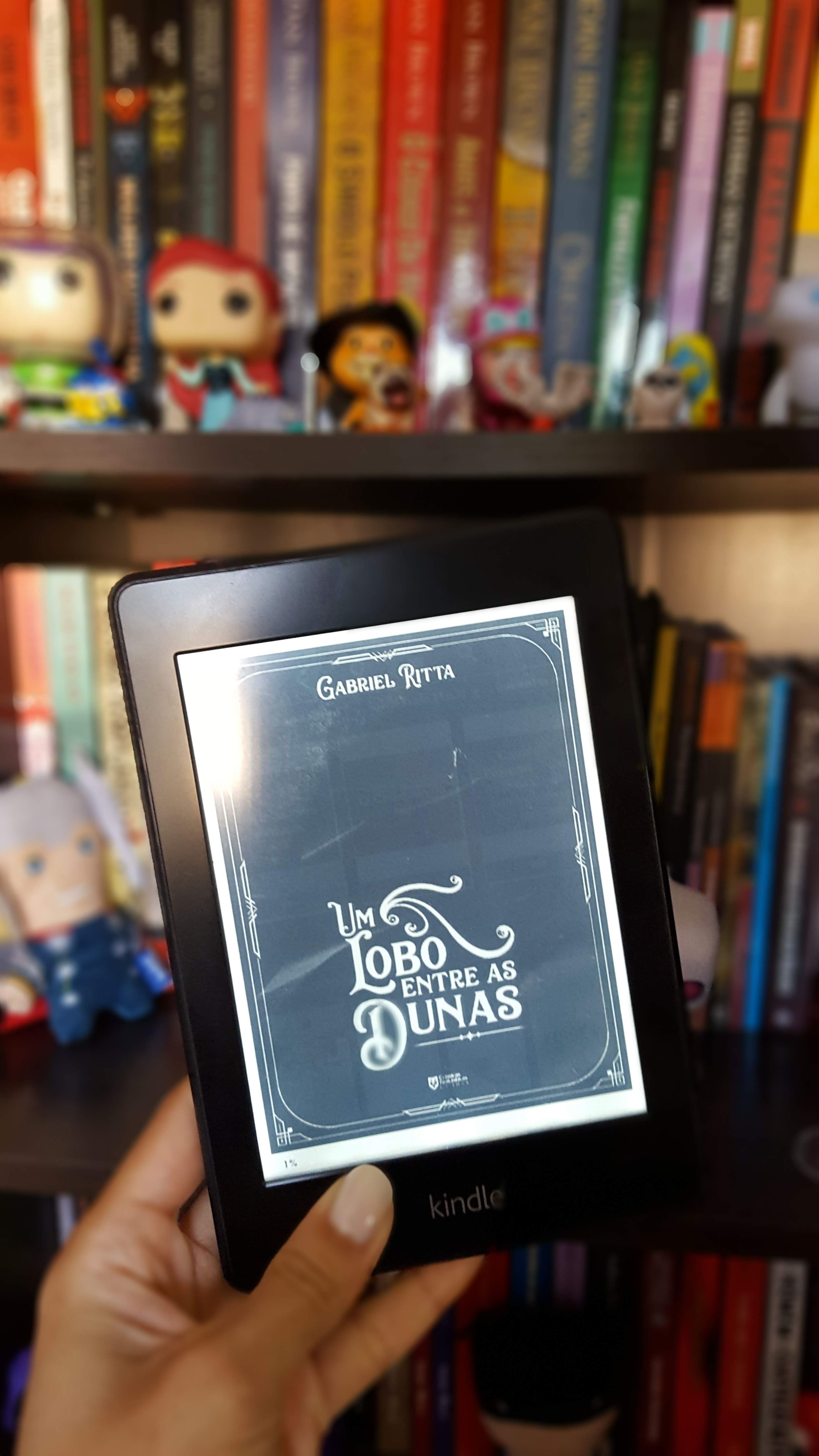 Um lobo entre as dunas | Gabriel Ritta Um lobo entre as dunas | Gabriel Ritta