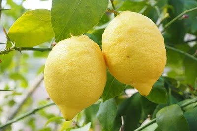 Lemon - Lemon in Hindi