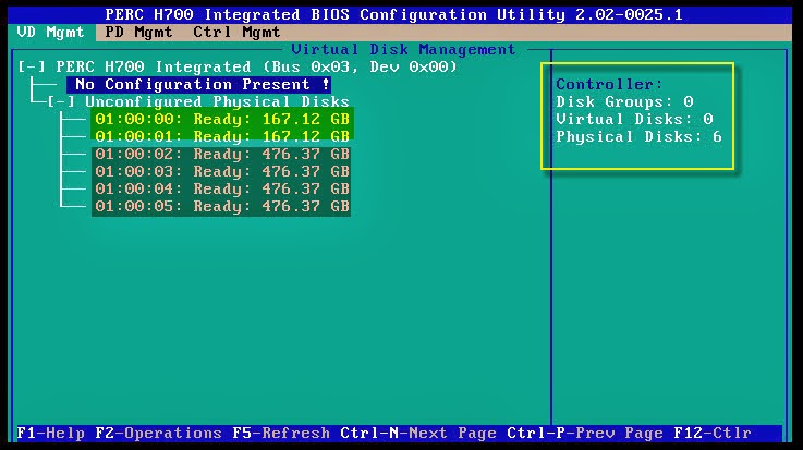 Global IT Links Tutorial Raid Setup On Dell R710 Using PERC H700 Card global-it-links-tutorial-raid-setup-on-dell-r710-using-perc-h700-card