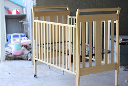 coop chicken build under chickens