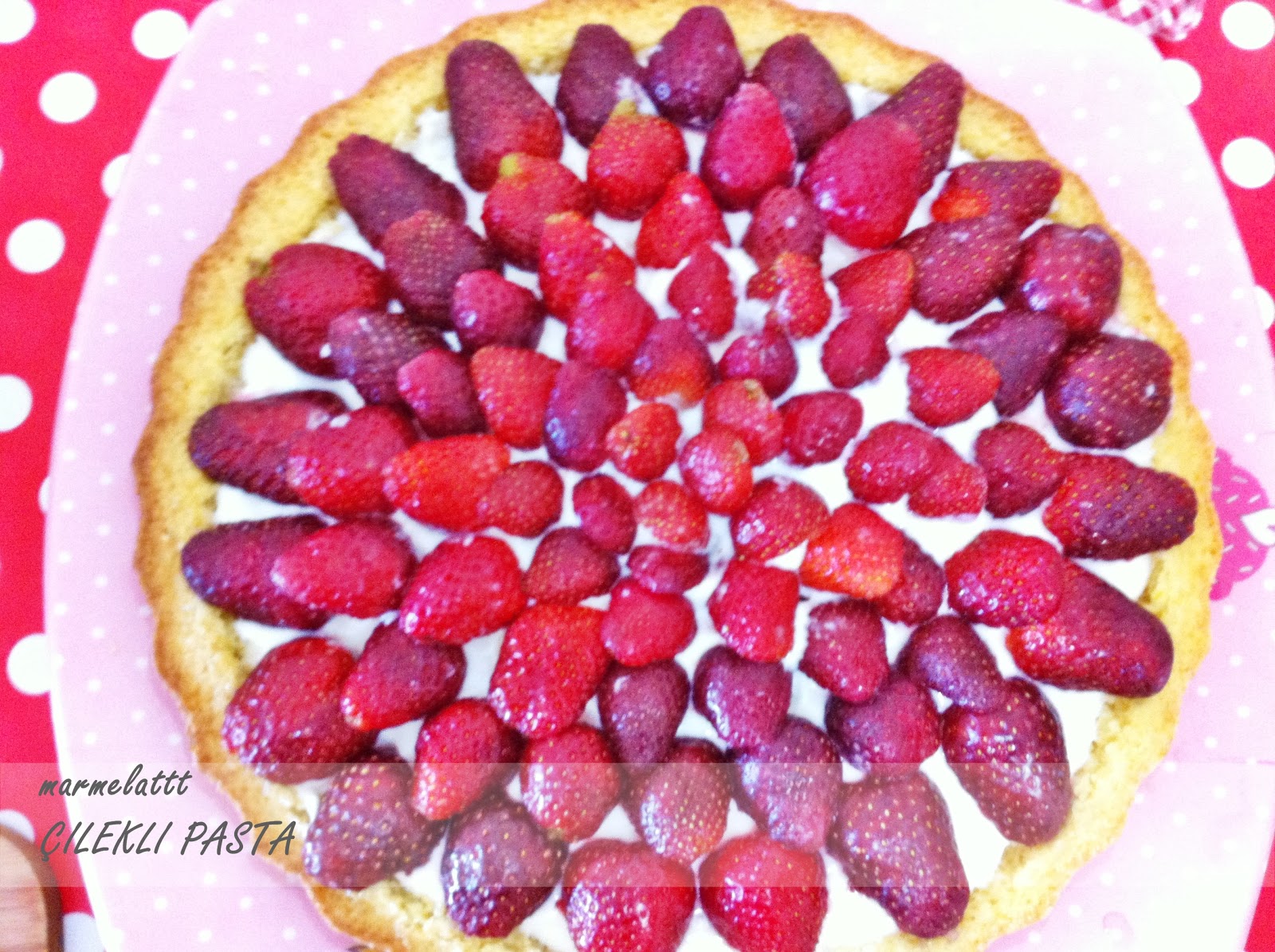 marmelattt: Nisan 2013