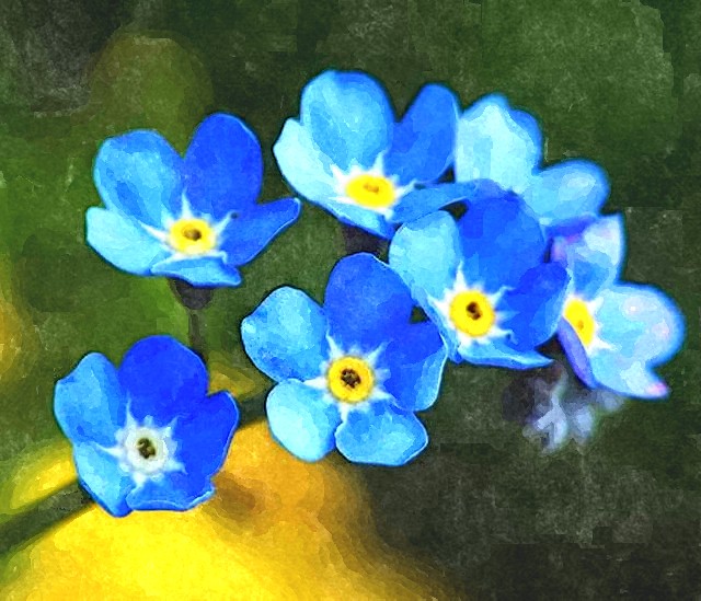 My Image 63