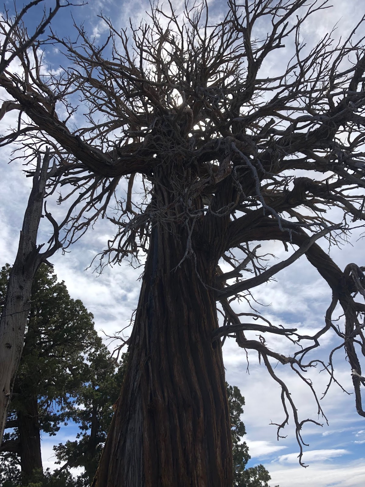 N1CLC 20190629 Onyx Peak + 1