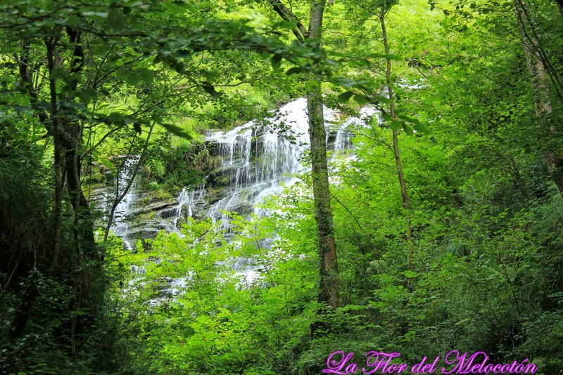 Camino al puente de Holtzarte