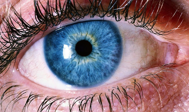 आँखों की देखभाल के 33 टिप्स – Hintçe Göz Bakımı İpuçları
