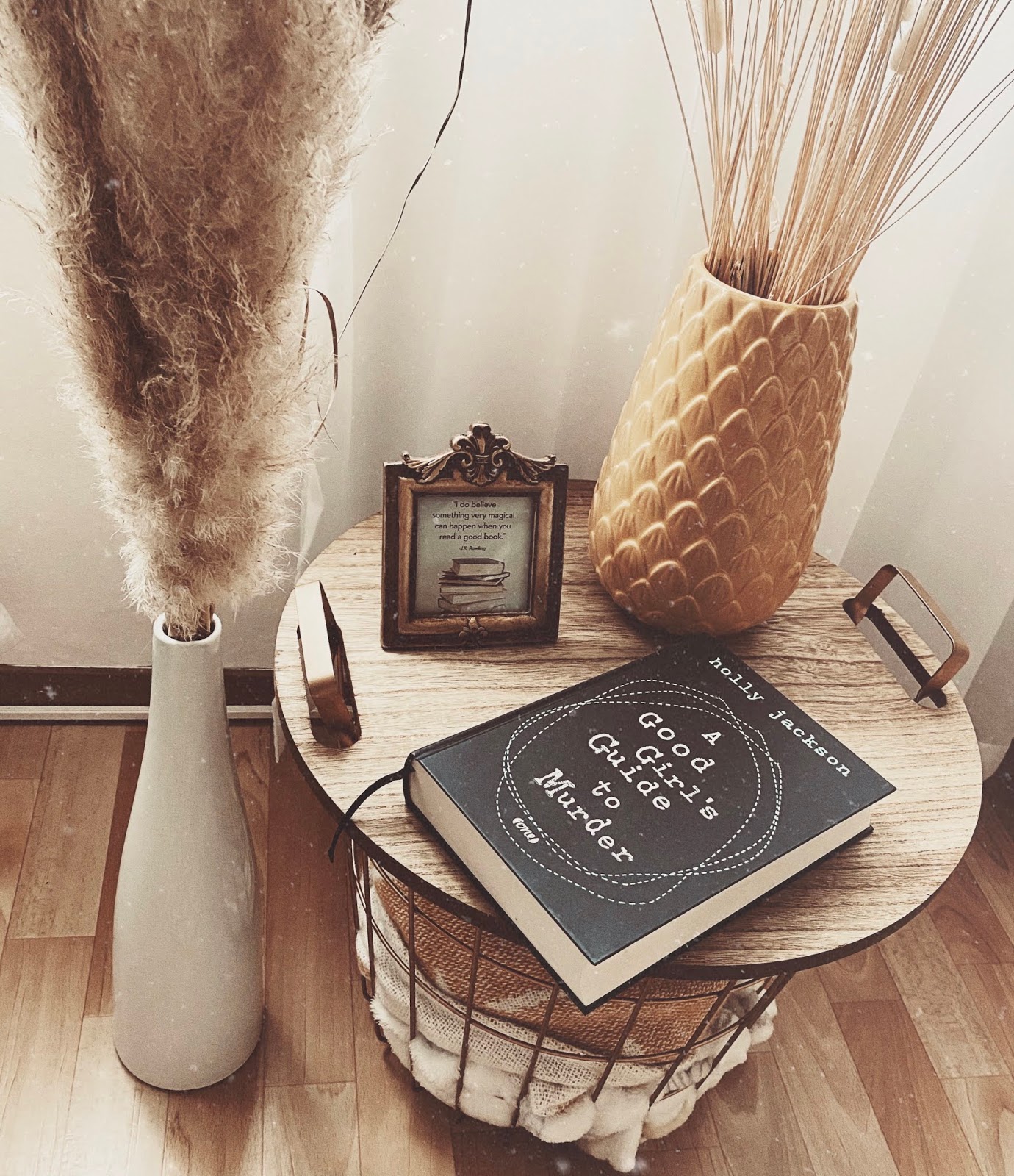 rezension-a-good-girls-guide-to-murder-von-holly-jackson