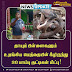 தாயும் பிள்ளைகளும் உறங்கிய மெத்தையின் கீழிருந்து 30 பாம்பு குட்டிகள் மீட்பு !