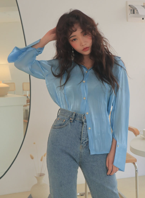 sheer button down blouse