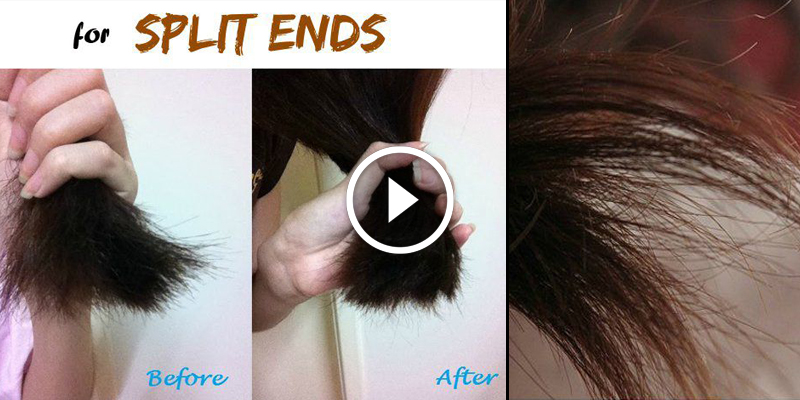 Natural Hair Mask For Split Ends Style Hunt World