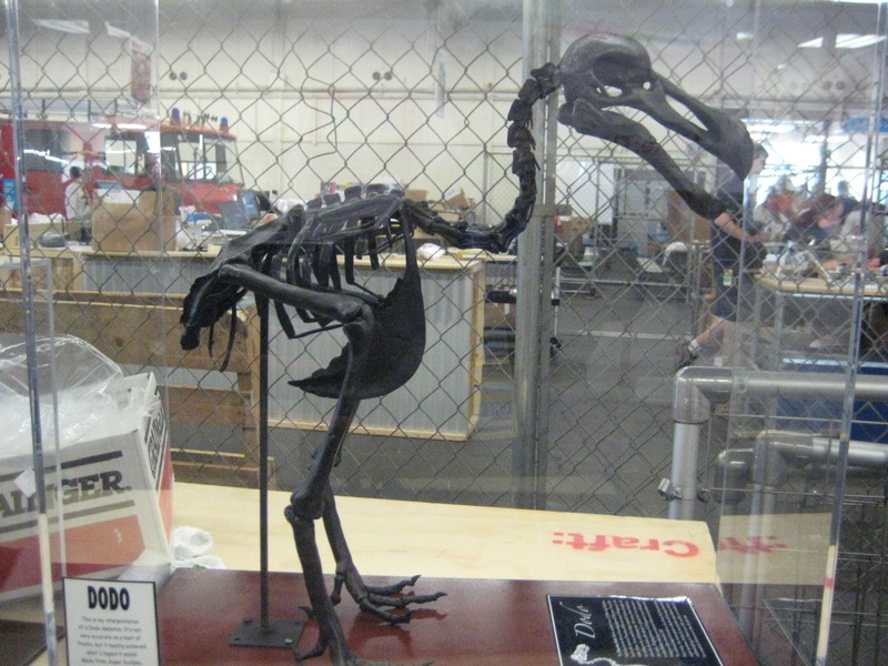 dodo bird images dodecahedron dodo bird images dodecahedron