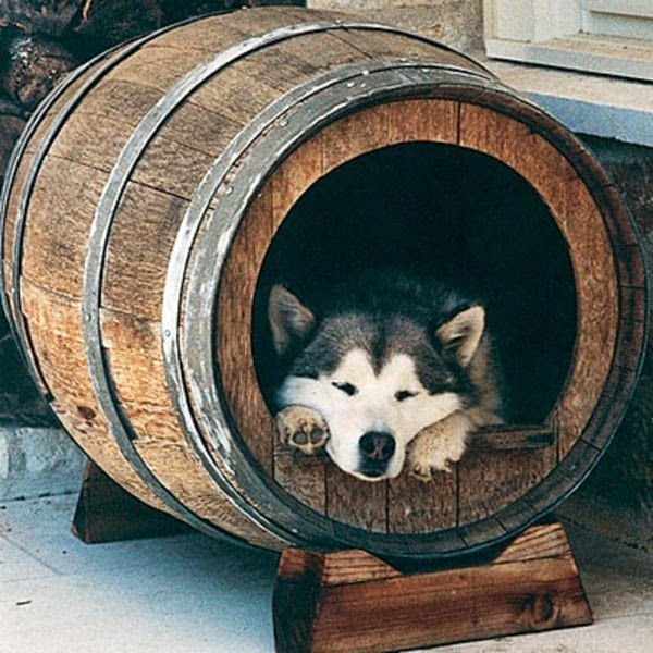 Luxury Dog House And Bed Of Natural Materials