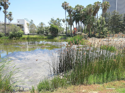 La Brea Tar Pits in Los Angeles, CA La Brea Tar Pits in Los Angeles, CA