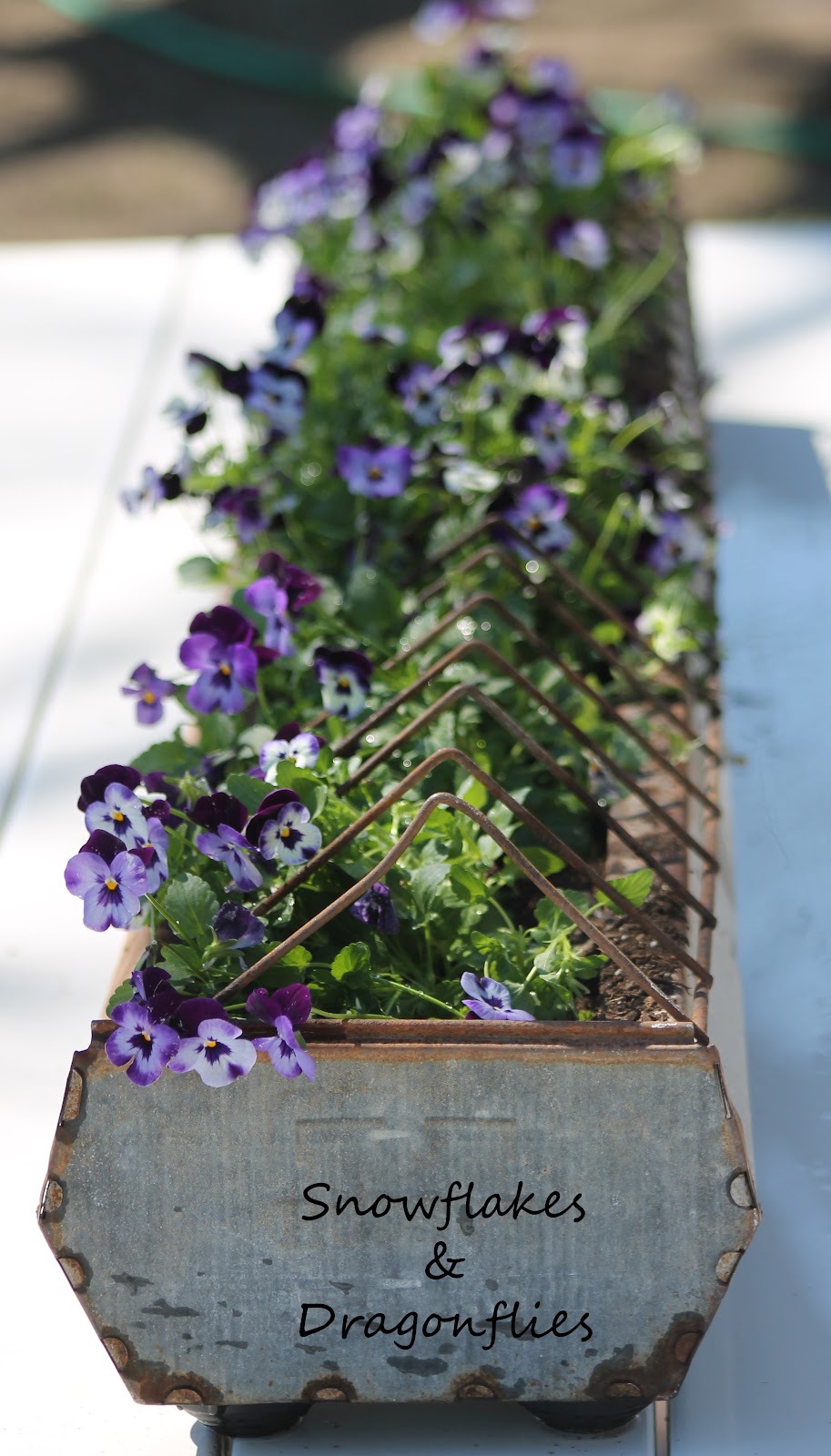 Repurposed Garden Containers and Tons of Great ideas for