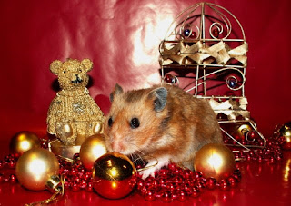 偉大な新年の挨拶マウスとラット 2023. マウスの年に無料、美しいライブクリスマスカード

