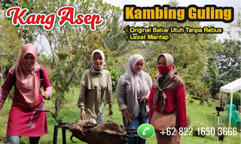 Rekomendasi Spesialis Kambing Guling Muda di Bandung.