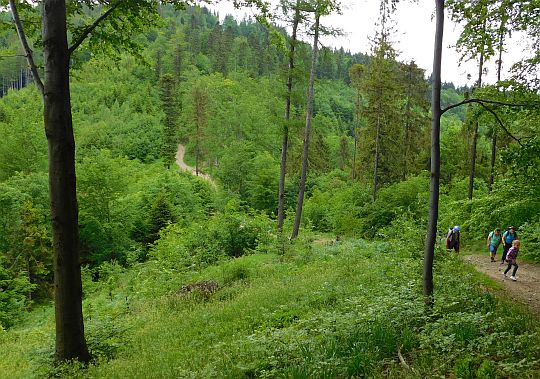 Przełęcz Isepnicka (698 m n.p.m.).