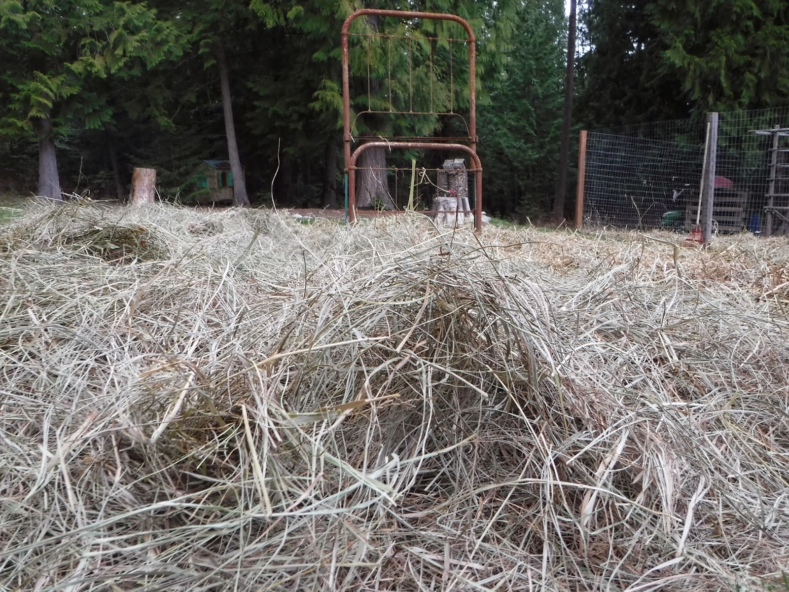Jen & the Bean stalk Deep Mulch Method