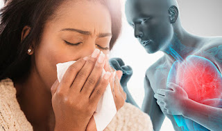 Cold & Cough Symptoms and Causes