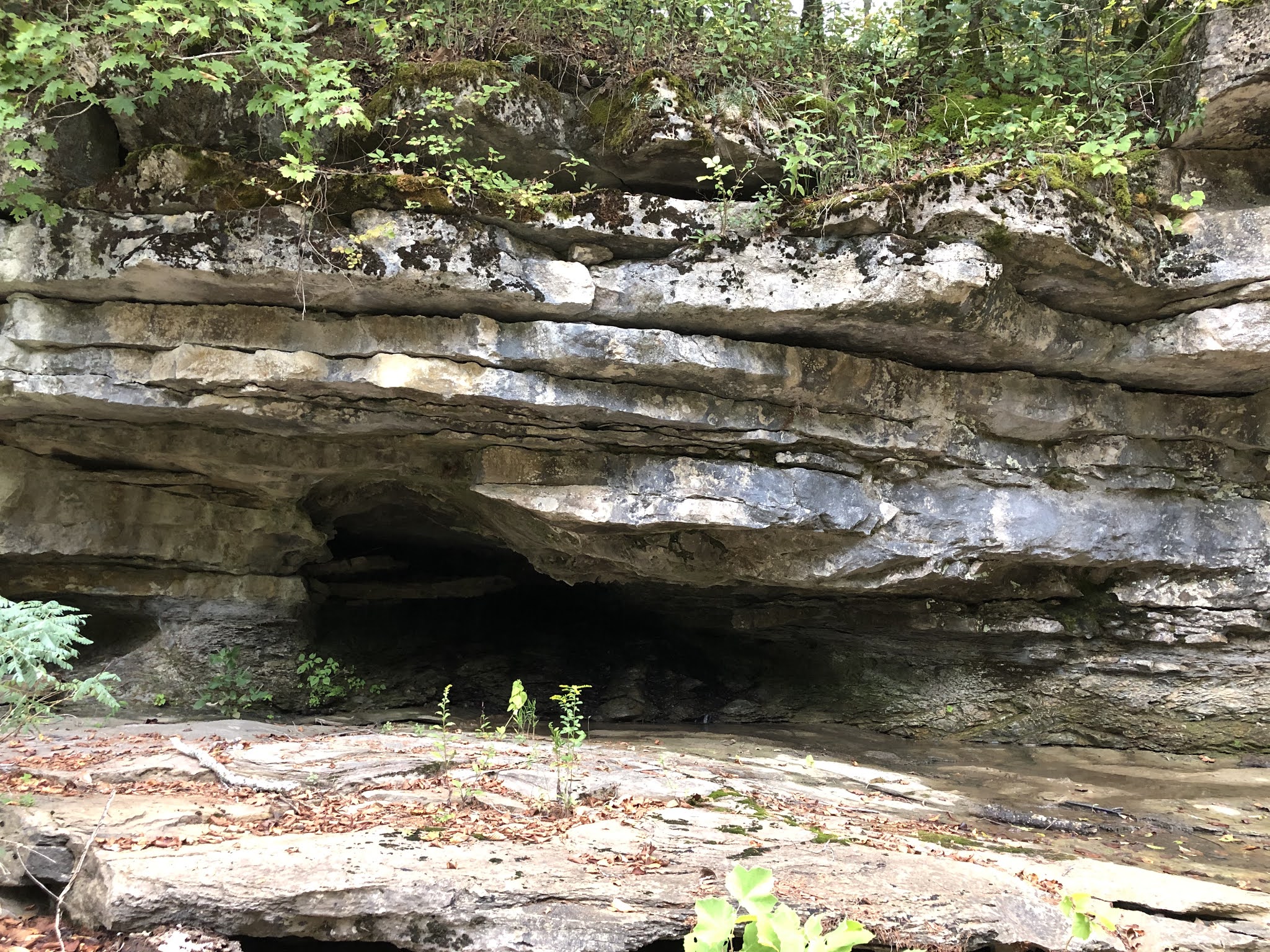 Lee Creek, Devil's Den State Park, Winslow, Arkansas